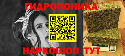 индика Тара