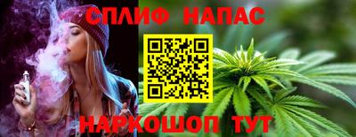индика Тара