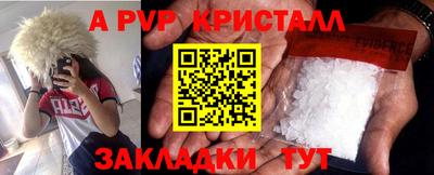 индика Тара