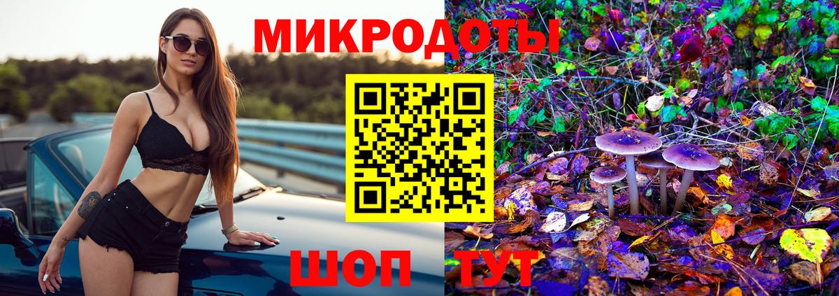 Галлюциногенные грибы Cubensis Нарткала