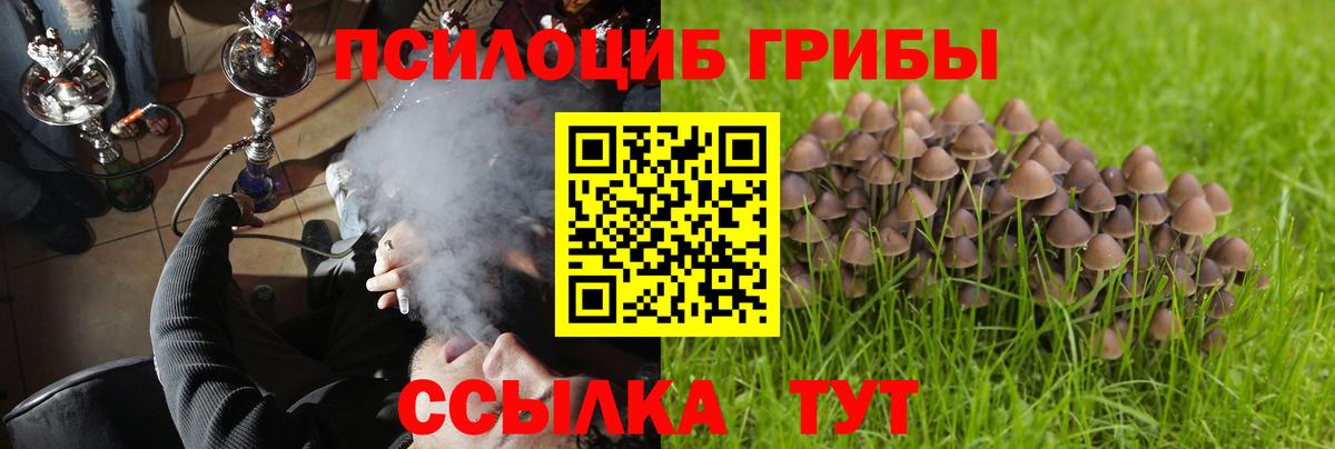 Нарткала  Галлюциногенные грибы MAGIC MUSHROOMS  Вход с VPN  Псилоцибиновые грибы Psilocybe 